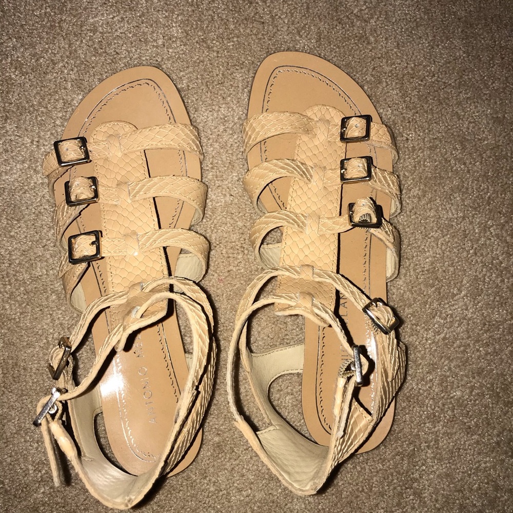 Antonio Melani Gladiator Sandals